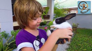 Милан и Папа играют в ферму. Строим домик для кролика. Манкиту