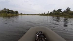 haswing protruar 1.0 65 lbs