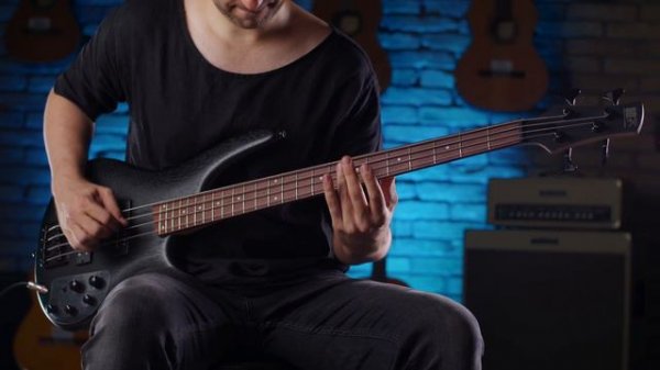 Does this Ibanez Bass Djent? SR300EB-WK / Metal / Tone Test