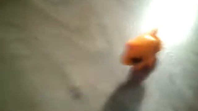 Мини питомцы песня смотреть онлайн