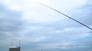 Как? Рабочие проводки на судака. Рыбалка на джиг с берега.