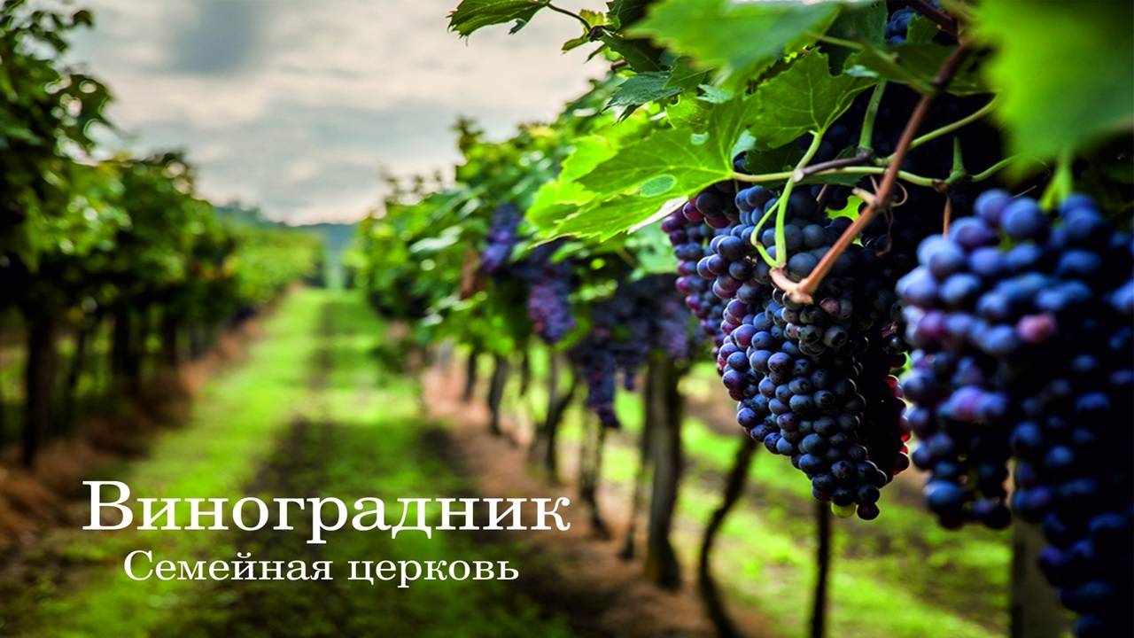Служение церкви 