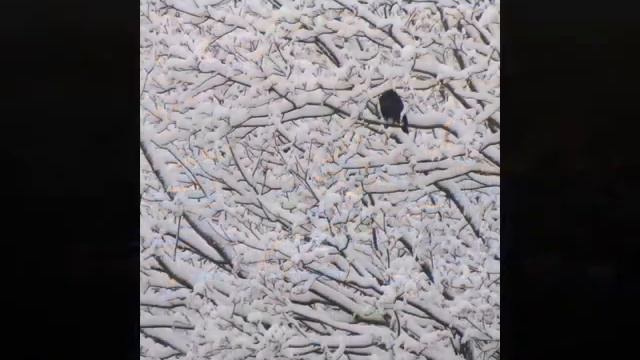 Песня старого календаря смотреть онлайн