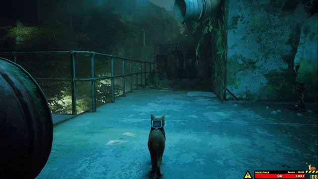 СТРИМ?Stray №2: Котэ идет вперед смотреть онлайн