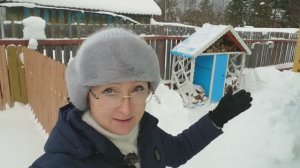 Видео привет с 6 соток 16-17 января 2024 года