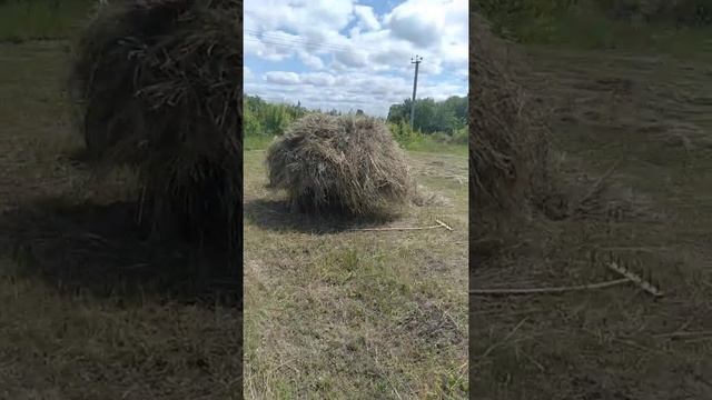 открытие сенокоса 2022 смотреть онлайн