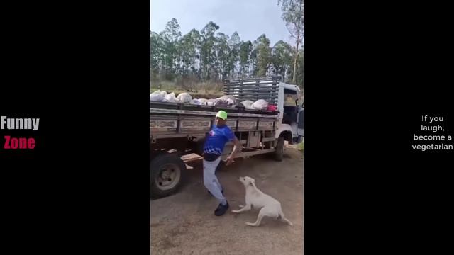 Попробуй не засмеяться (№15). Лучшие Приколы 2024 #СмешныеМоменты #shorts #ютубшортс #смех #приколы смотреть онлайн