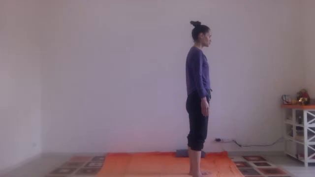 Классическая Хатха Йога для начинающих смотреть онлайн