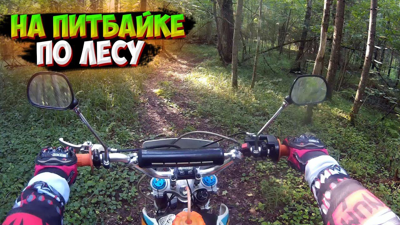 ОДИНОЧНАЯ ПОКАТУШКА на ПИТБАЙКЕ ПО ЛЕСУ |ДЕВУШКА| смотреть онлайн