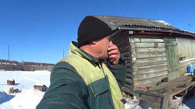родились козлики ламанча. смотреть онлайн