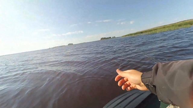 Ловля жереха и окуней смотреть онлайн