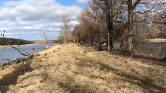 Рыбаки ловили рыбку,а поймали водоросли смотреть онлайн