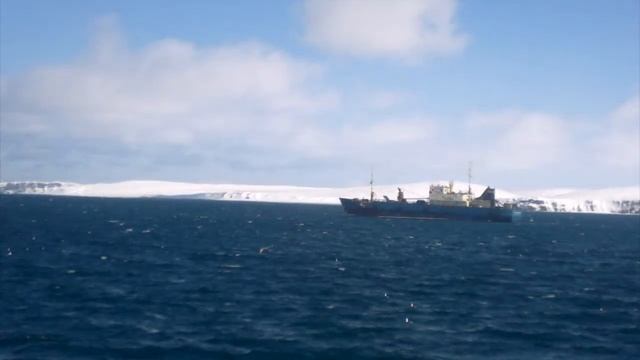 У берегов Камчатки смотреть онлайн