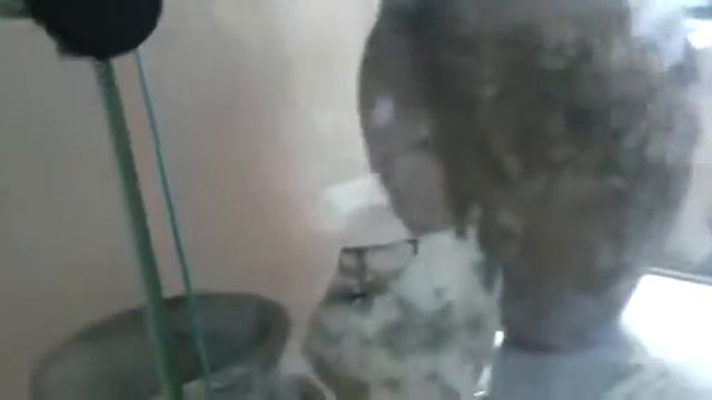 Иса Куппа смотреть онлайн