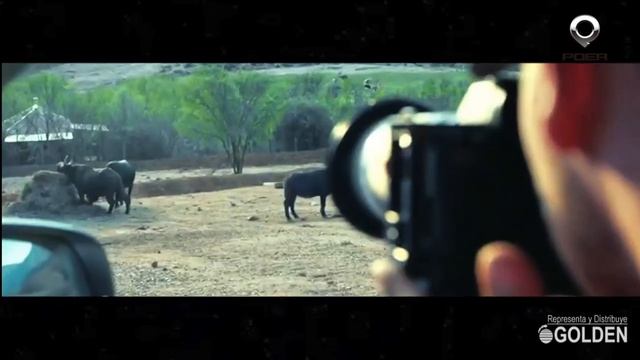 Great Wall POER Series #TheGREAT, Golden Arrow SA смотреть онлайн