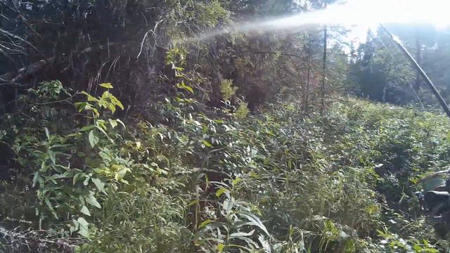 Видео отчет о рыбалке на речке. смотреть онлайн