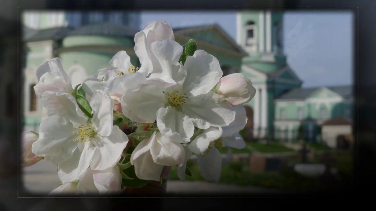 Оптина пустынь: май 2020