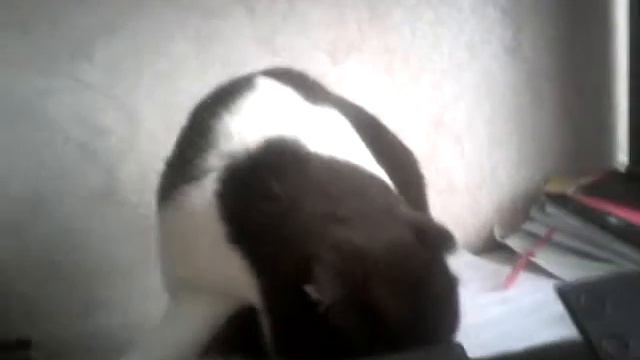 Приколы про тихона смотреть онлайн