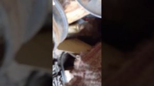 диск газ51 на прицеп 2птс4