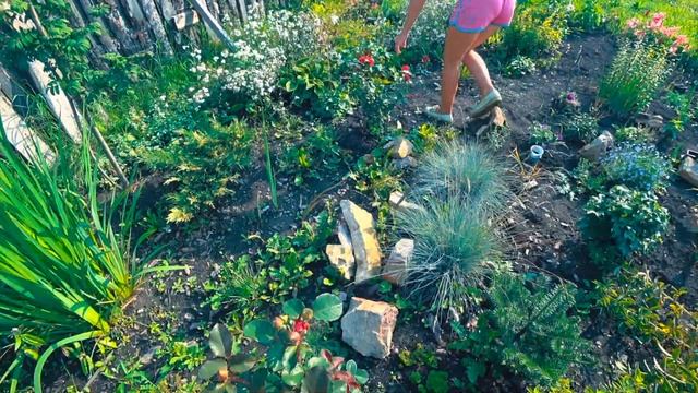 Взял жену на стройку и вот, что с этого получилось. Строим загородную жизнь. смотреть онлайн