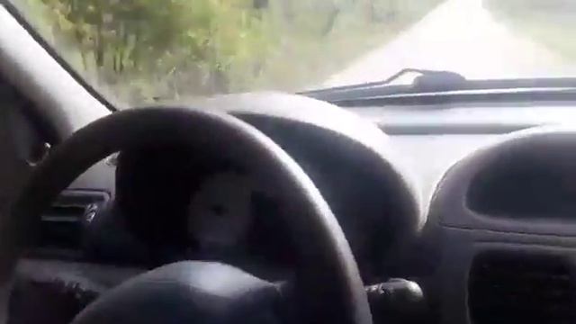 Renault Clio 1.4 16V смотреть онлайн