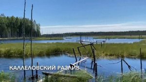 Урал 8.103.10 Днепр МТ-16 привод на коляску. Грязь и бездорожье