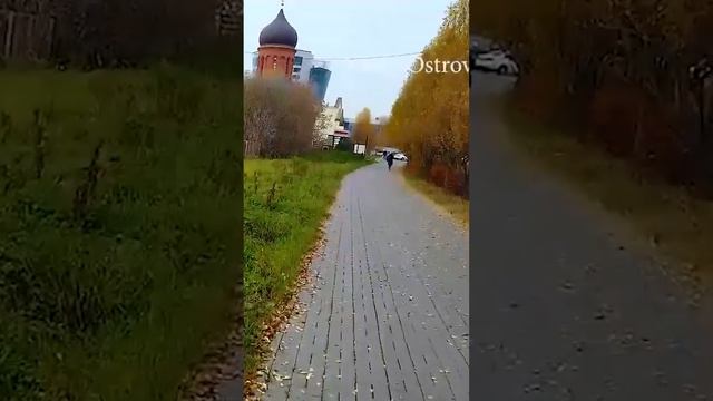 Как найти идеальную пижму: часть 1 #виталийостровский смотреть онлайн