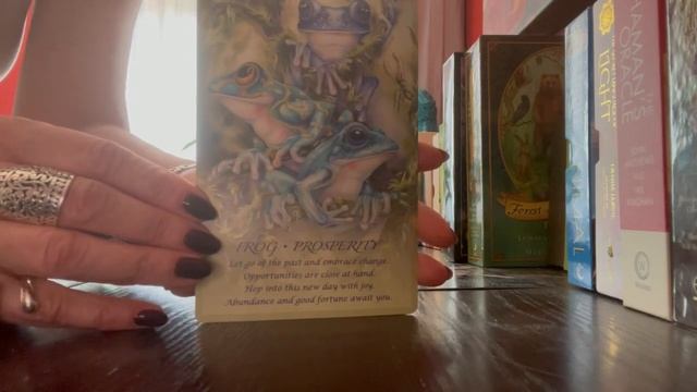 Today’s tarot is from my Spirit of the Animals Oracle ?? смотреть онлайн