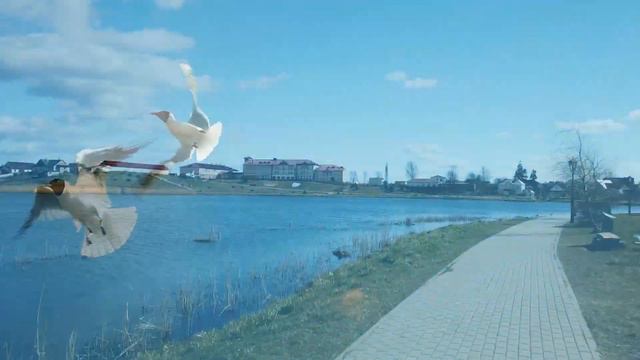 Весна на озере Кагальное - апрельский видеосюжет города Глубокое смотреть онлайн
