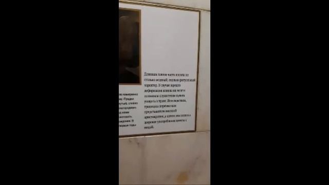 Аланское искусство🔥 Мой проект 