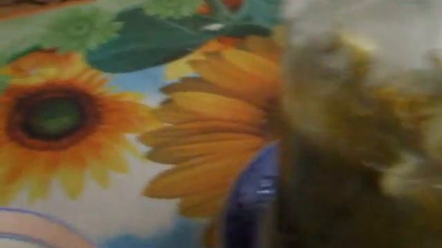 Огурчики Малосольные Такая Прелесть_ГБРД-7_от_PTAha