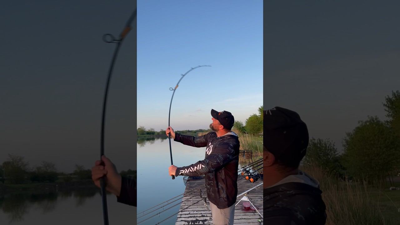 Новинка 2023! Sportex Advancer CS-2 смотреть онлайн