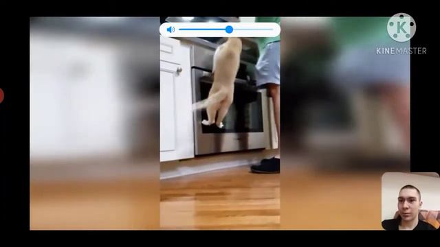 Незасмейся челлендж! я хз что тут писать) смотреть онлайн
