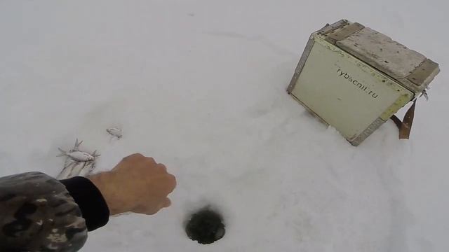 Ловля язя зимой на мормышку смотреть онлайн