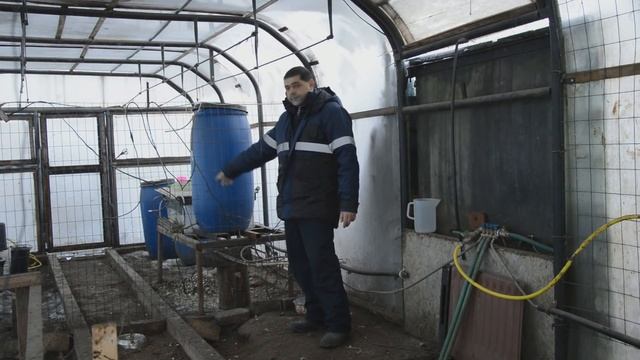 Содержание кур и перепелов несушек зимой в теплице смотреть онлайн