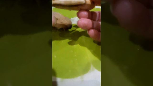 🥭Что находится внутри косточки Манго.Это шок👀 смотреть онлайн