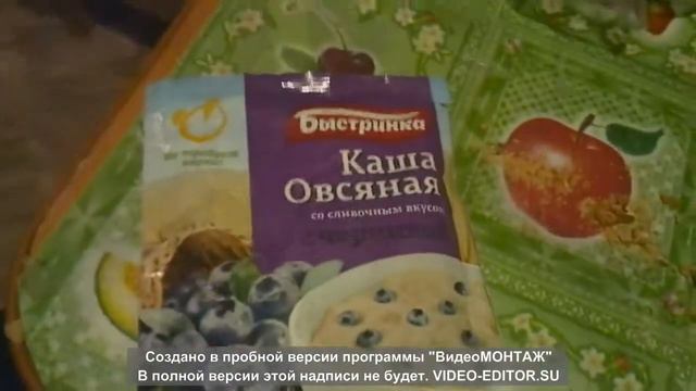 VLOG:Чем я кормлю котов ? / Бездомные животные