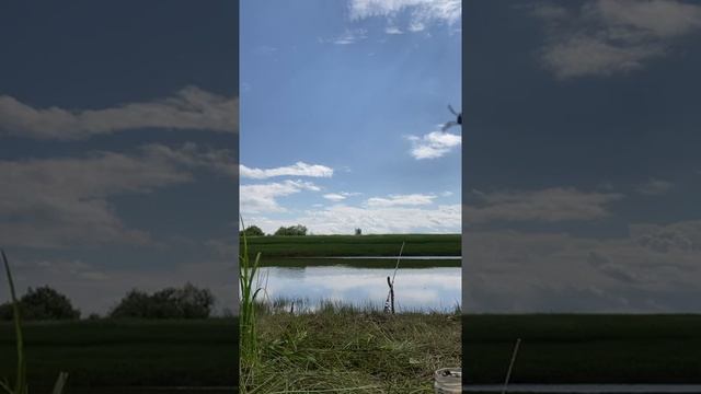 Рыбалка в ХМАО,щуки смотреть онлайн