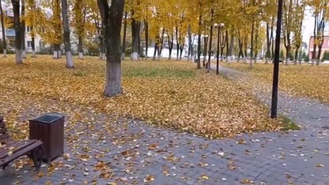 Золотая осень. Электрогорск. смотреть онлайн