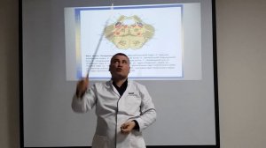 Мост. Варолиев мост / pons Varolii