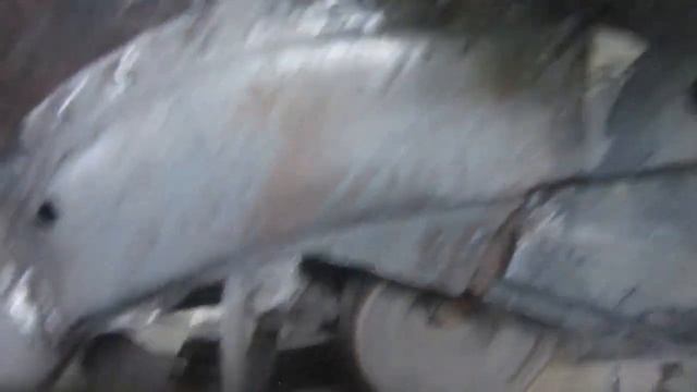 Сгнивший лонжерон снова ожил.Обработаю и будет как новый. смотреть онлайн