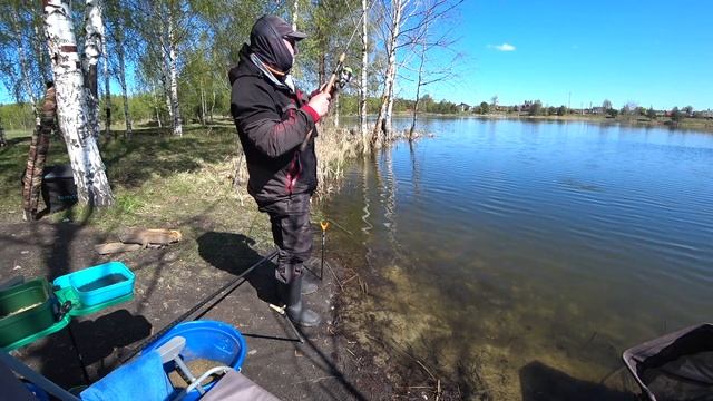 Ловля карася весной 2023г смотреть онлайн