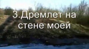 В горнице минусовка