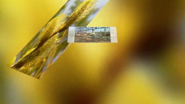 Threads of Love Lorie Line ЦВЕТЕНИЕ ВЕРБЫ смотреть онлайн