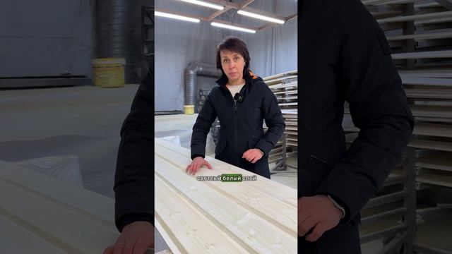 Превращаем дерево в зимнюю сказку: секреты покраски смотреть онлайн