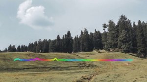 Зульмира Мустафаева - Абдул 2023