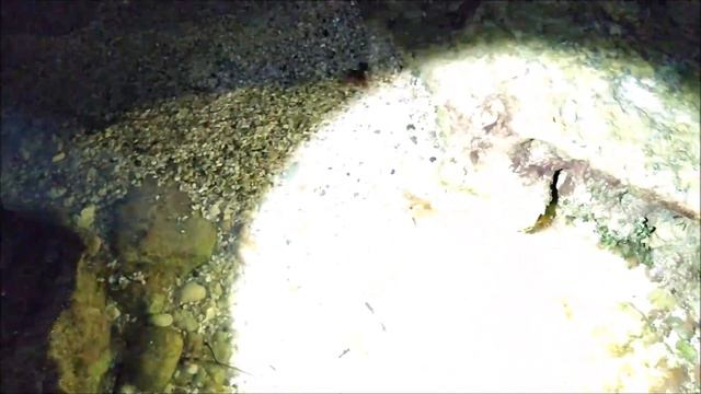 Прогулка в темноте у берега Средиземного моря на Кипре. 18.12.2019. смотреть онлайн