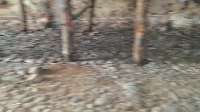 LIPA.CLUB Великая Липа видео тур, Беларусь  Усадьба около Несвижа, Снова, Мира