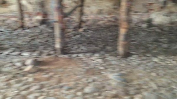 LIPA.CLUB Великая Липа видео тур, Беларусь  Усадьба около Несвижа, Снова, Мира