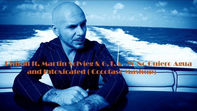 Pitbull ft Martin Solvieg & GTA - Yo No Quiero Agua and Intoxicated ( Cocotaso Mashup) смотреть онлайн